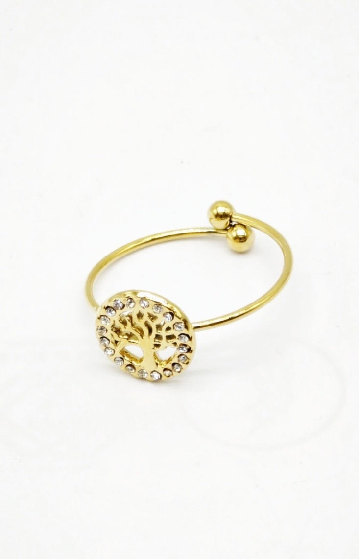 Bague en acier inoxydable