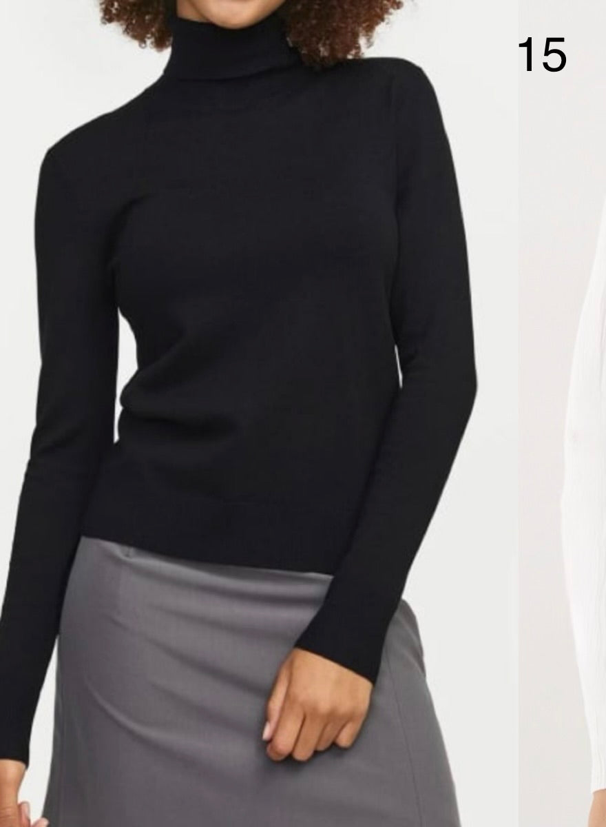 Pull col rouler ( plusieurs couleurs )